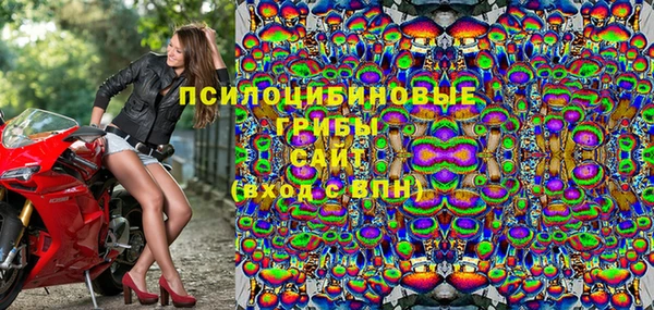 гашиш Дмитров